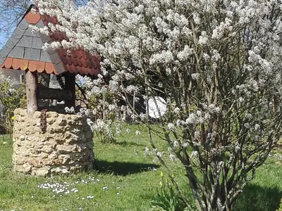 Jardin de l'établissement Maison en bois avec jardin, idéal randonnée, fibre haut débit, équipements bébé près du Mans et Tours - FR-1-410-195