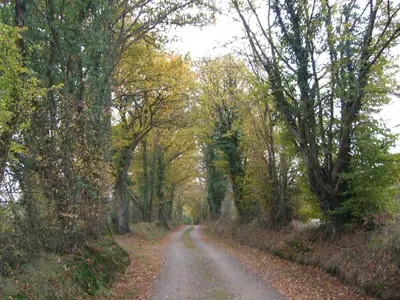 Paysage naturel près de la maison de vacances