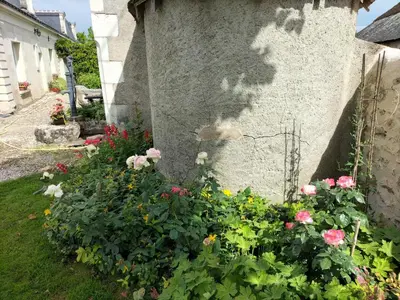 Jardin de l'établissement Le clos des augers, chambres d'hôtes et roulotte
