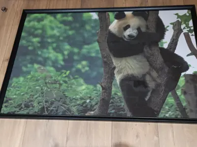 Plan de l'établissement A 4 min du Zoo de Beauval Chambre 2 personnes et bureau 1er étage
