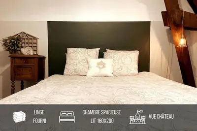 Plan de l'établissement Grand appartement place Saint-Pierre, proche Château de Saumur et bord de Loire