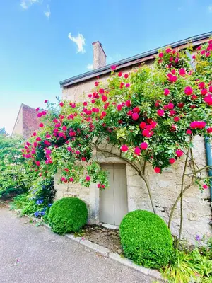 Jardin de l'établissement Le Lavoir aux Roses by Gîtes Sud Touraine