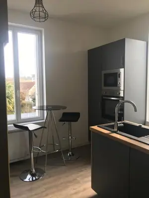 Cuisine ou kitchenette dans l'établissement Studio cocoon