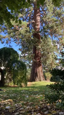 Jardin de l'établissement Le Clos du Roc
