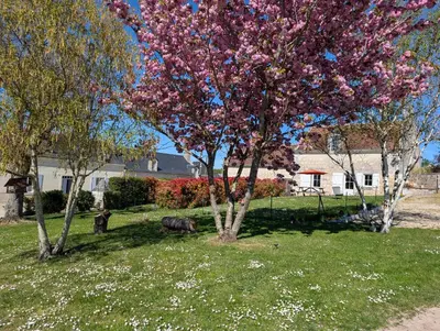 Jardin de l'établissement Gîte des Basses Rivières