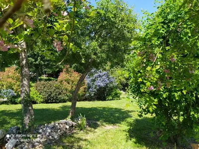 Jardin de l'établissement Gîte élégant en Touraine avec jardin clos et WIFI - FR-1-381-505