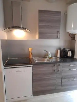 Cuisine ou kitchenette dans l'établissement Le cosy d'Amboise