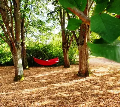 Jardin de l'établissement Le Petit Logis