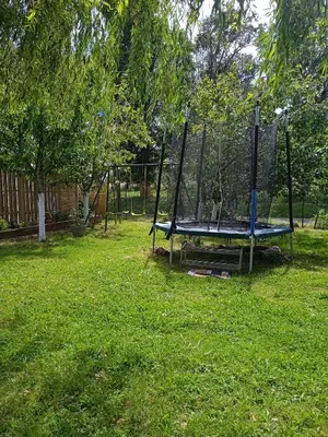 Jardin de l'établissement Maison de vacances Sol & Piper