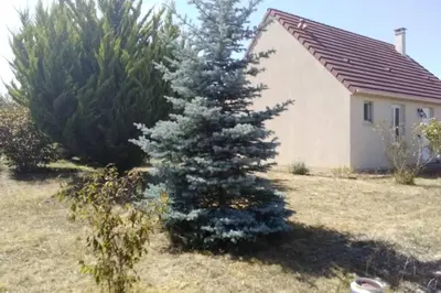 Jardin de l'établissement Le Lizard, un gîte pour vos passions nature