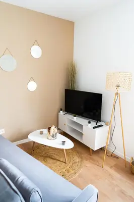 Télévision ou salle de divertissement dans l'établissement Calme & confort avec parking privé à Saumur