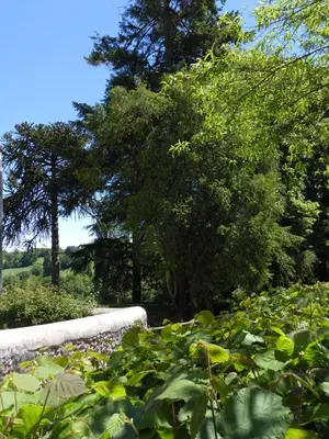 Paysage naturel près de la maison de vacances