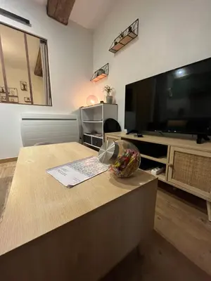 Télévision ou salle de divertissement dans l'établissement La Cour Chartraine - Cosy appartement avec cour extérieur à Blois