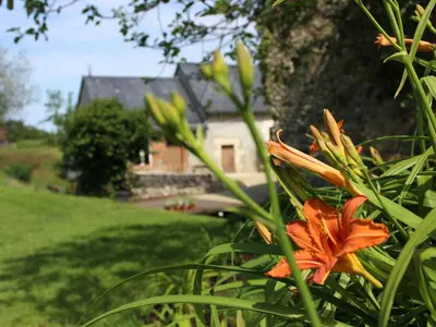 Jardin de l'établissement Charmant Gîte Campagnard près du Mans - Calme, Confort et Commodités à Proximité - FR-1-410-327