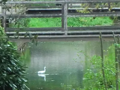 Vue sur la rivière ou le fleuve situé(e) à proximité de l'appartement