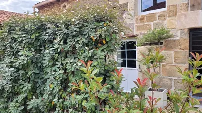 Jardin de l'établissement Au creux des vignes