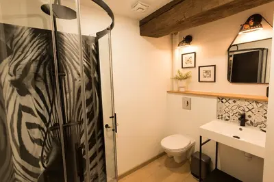 Salle de bains dans l'établissement La Lirosane, 3 studios, 3,7km du Zoo, Centre-ville