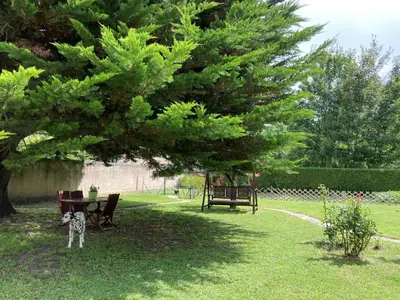 Jardin de l'établissement LA MAISON DE TRIBOULET Chambres et table d'hôtes -Amboise-