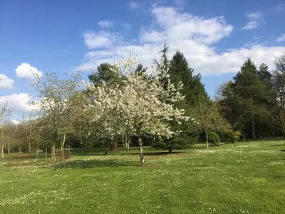 Jardin de l'établissement Longère 2 pers au coeur de la Touraine