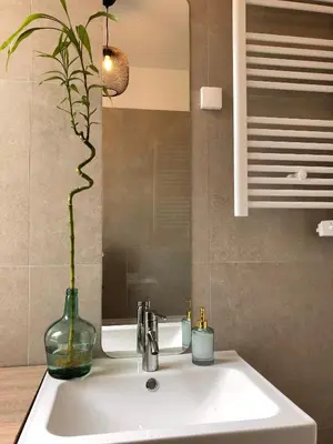 Salle de bains dans l'établissement Le Tanin -Appartement entier avec Balcon