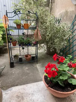 Jardin de l'établissement Les Ancres