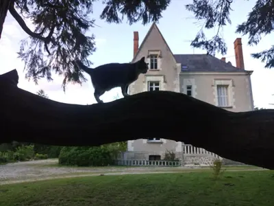 Jardin de l'établissement CHANTOISEAU