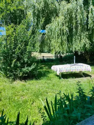 Jardin de l'établissement Gîte 