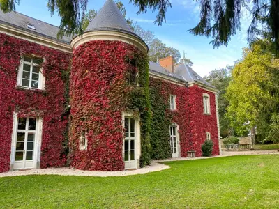 Jardin de l'établissement Château de Montaupin