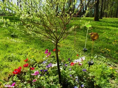 Jardin de l'établissement Gîte spacieux en Touraine, 8 pers, jardin privé, calme - FR-1-381-273