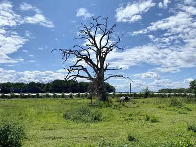 Paysage naturel près de la maison de vacances