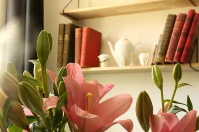Bibliothèque dans l'appartement