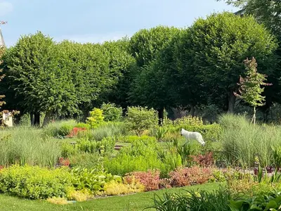 Jardin de l'établissement maison d'hôtes ed.André 10 personnes