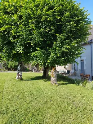 Jardin de l'établissement Les 7 Tilleuls - Chambres d'hôtes