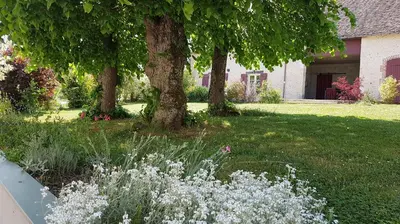 Jardin de l'établissement Les 7 Tilleuls - Chambres d'hôtes