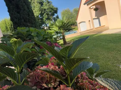 Jardin de l'établissement Charmant gîte cozy près du Mans avec jardin, terrasse, proche commodités et activités. - FR-1-410-336