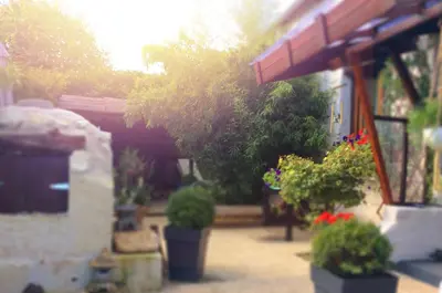 Jardin de l'établissement Le Grand Prateau - à 800m du Zoo