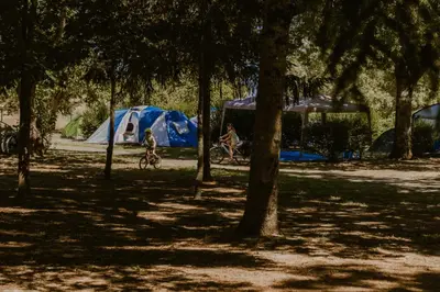 Plan de l'établissement Camping Onlycamp Tours Val de Loire