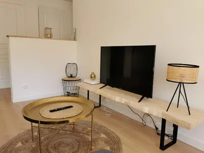 Télévision ou salle de divertissement dans l'établissement L'EMILIO - hypercentre, lumineux et vue Loire