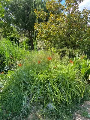 Jardin de l'établissement La Charmeraie : gîte de charme, piscine et spa