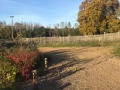 Plan de l'établissement Gîte charmant près du circuit du Mans, 12 pers., 5 ch., rénové avec 3 sdb, nature et attractions proches - FR-1-410-342