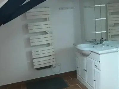 Salle de bains dans l'établissement Gîte charmant près du circuit du Mans, 12 pers., 5 ch., rénové avec 3 sdb, nature et attractions proches - FR-1-410-342