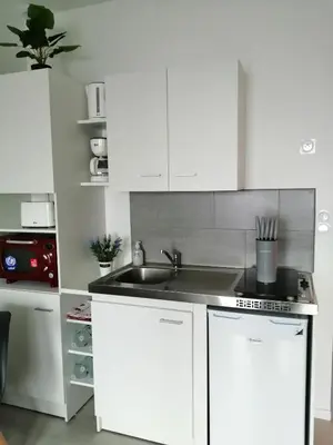 Cuisine ou kitchenette dans l'établissement STUDIO NOYANT VILLAGES