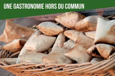 Plan de l'établissement LeSaumurTranquille - Les VioIettes