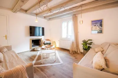 Télévision ou salle de divertissement dans l'établissement La Maison Lamartine Havre de paix dans le centre de Tours