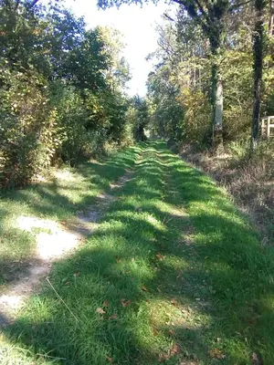 Paysage naturel près de la maison de vacances