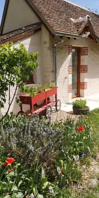 Jardin de l'établissement Le Petit Pavillon