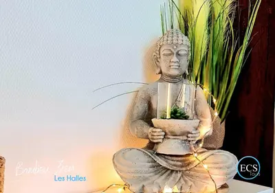 Plan de l'établissement 