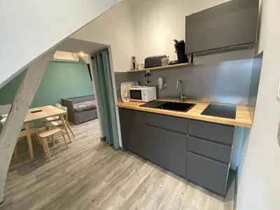 Cuisine ou kitchenette dans l'établissement Logement Loire climatisé, La Halte de Cuze, aux abords de la Loire a vélo