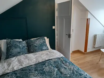 Un ou plusieurs lits dans un hébergement de l'établissement Duplex tout confort - circuit 24h - pôle santé sud - Centre des expositions - Technoparc
