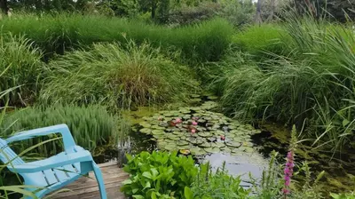 Jardin de l'établissement Au Jardin de la Marquetterie
